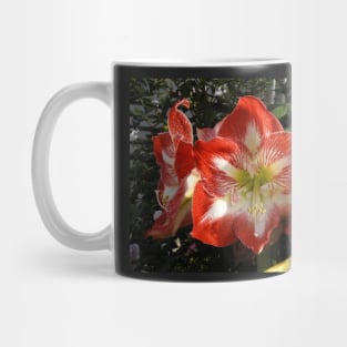 Red Flower Mug